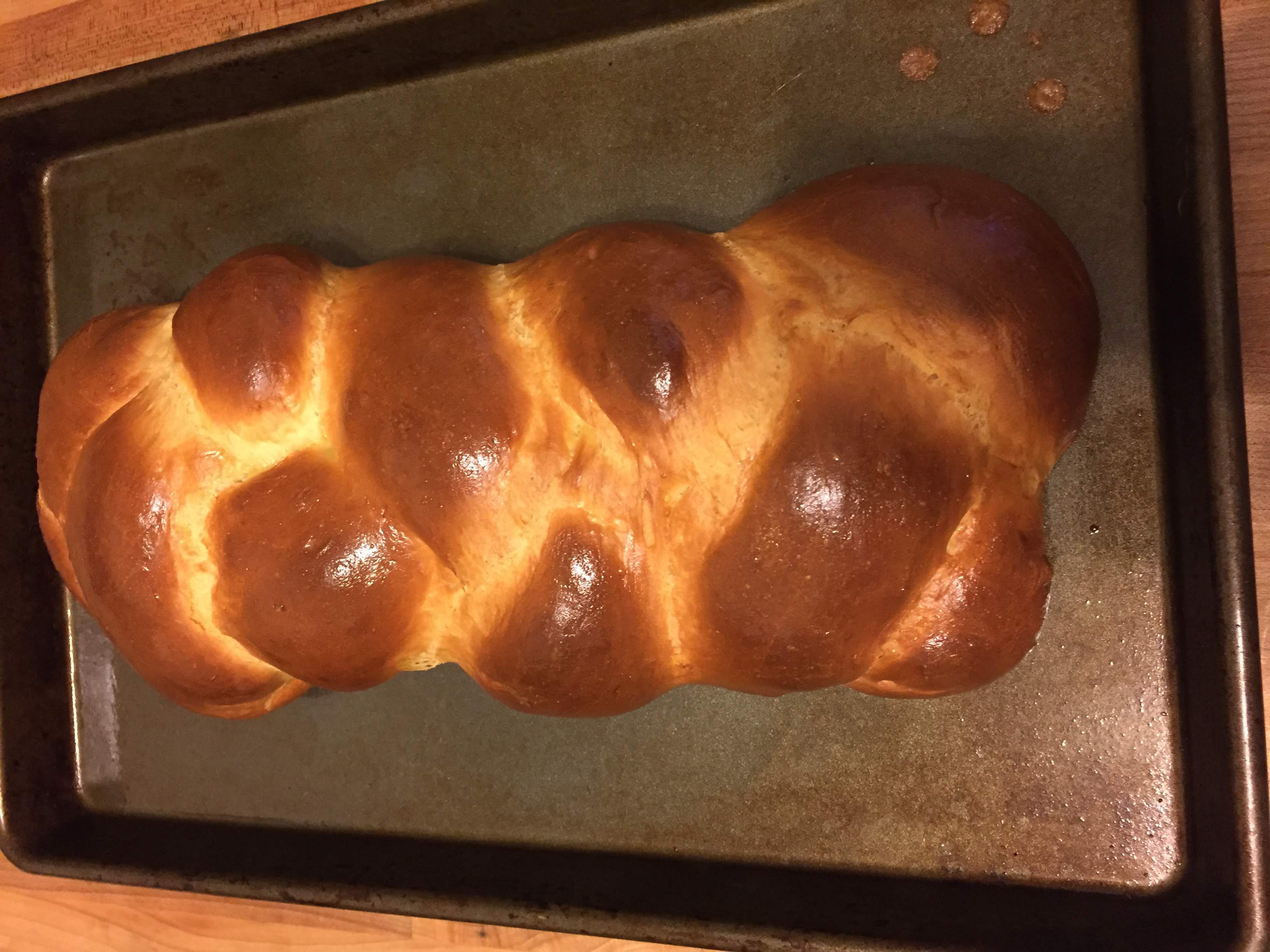 Week 15: Eggs