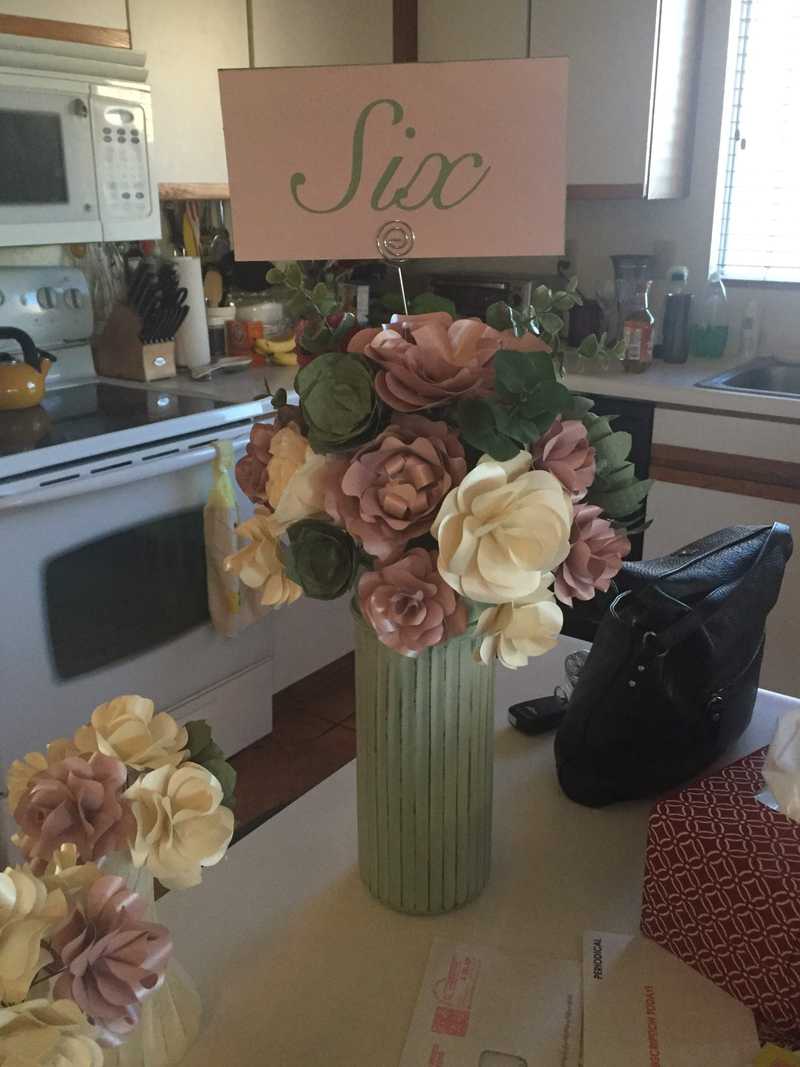 Picture of adorable Kitty Cat