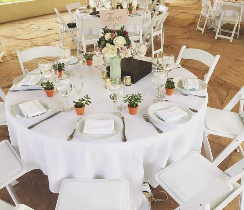 Picture of adorable Kitty Cat